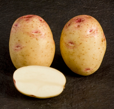 Cara potatoes tuber
