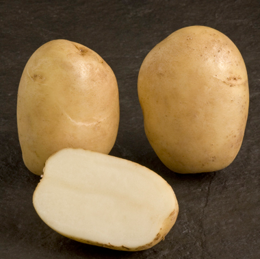 Pentland Javelin potatoes