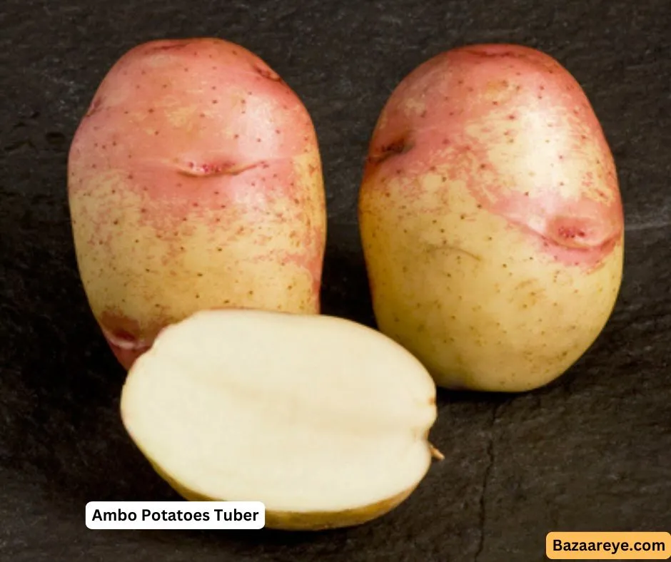 ambo potatoes tuber
