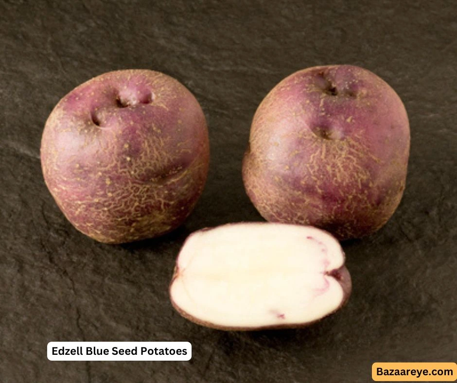 Edzell Blue Potatoes Seed