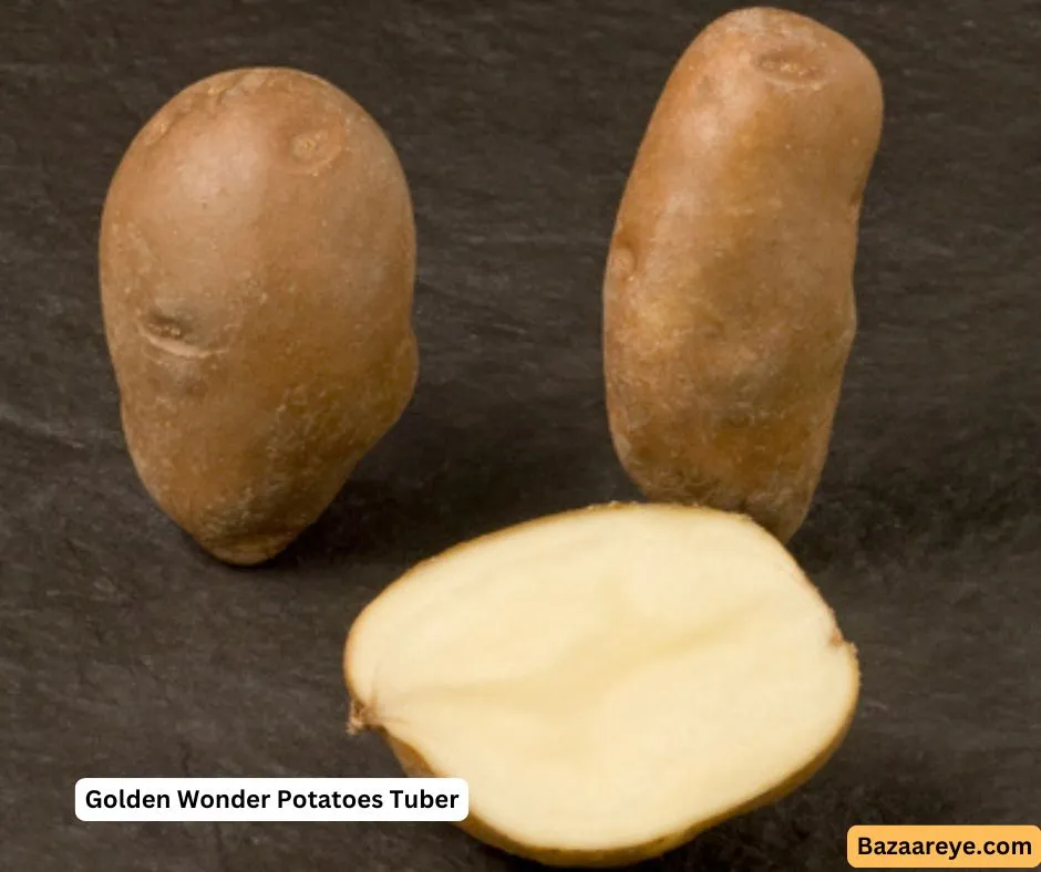 Golden Wonder Potatoes Tuber