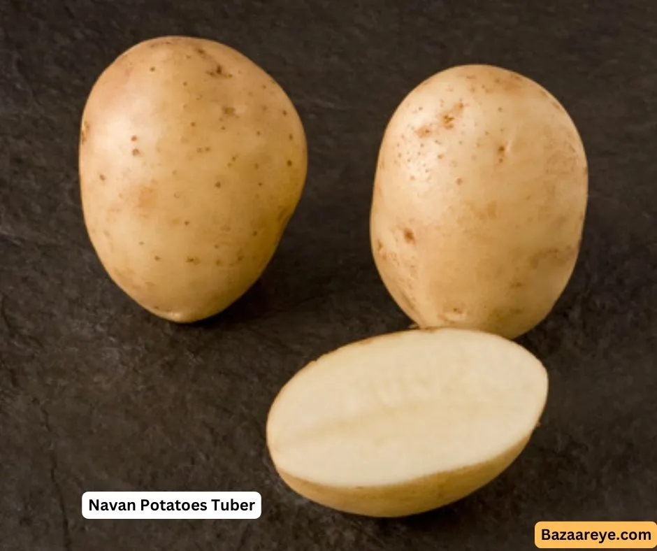 Navan Potatoes Tuber