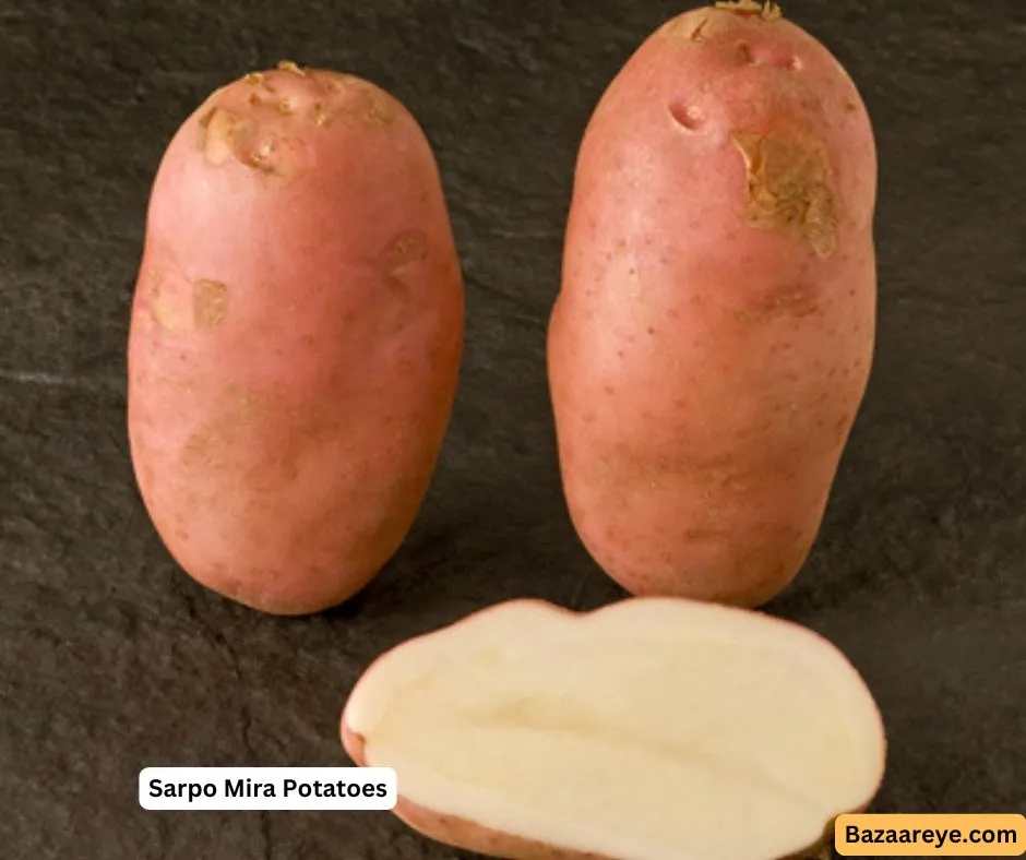 Sarpo MIra potatoes tuber,