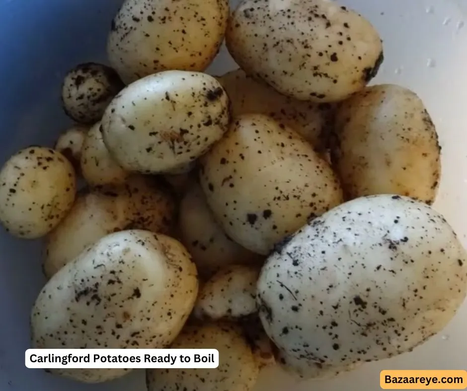 Carlingford Potatoes ready to cook