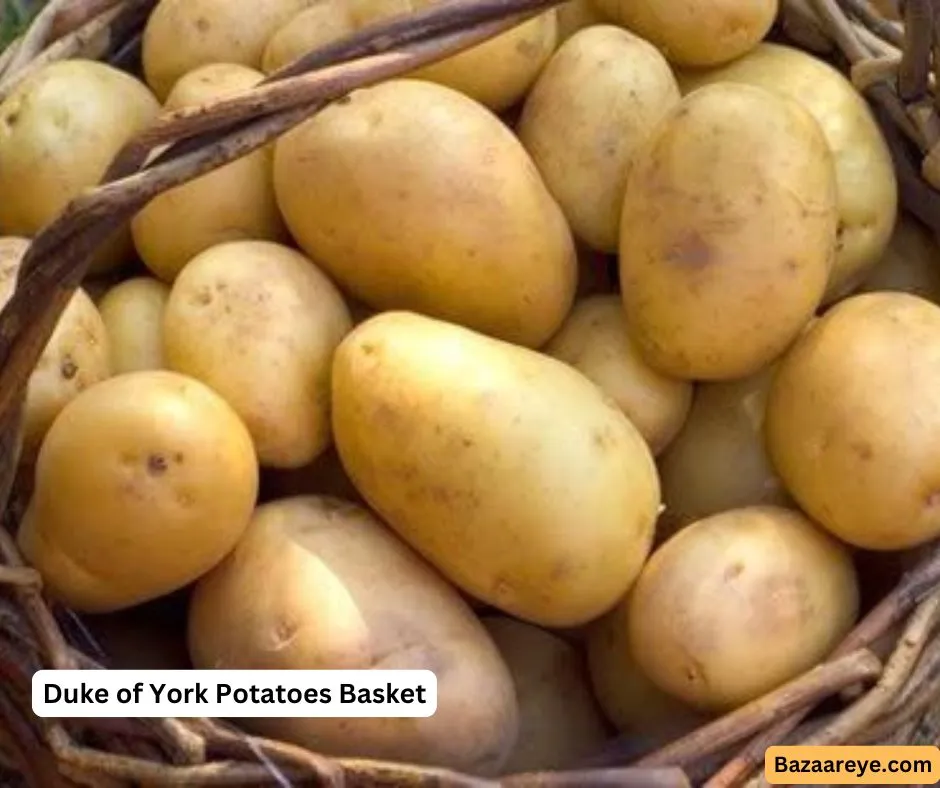 Duke of York Seed Potatoes in a Basket