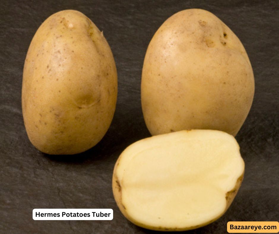 Hermes Potatoes Tuber