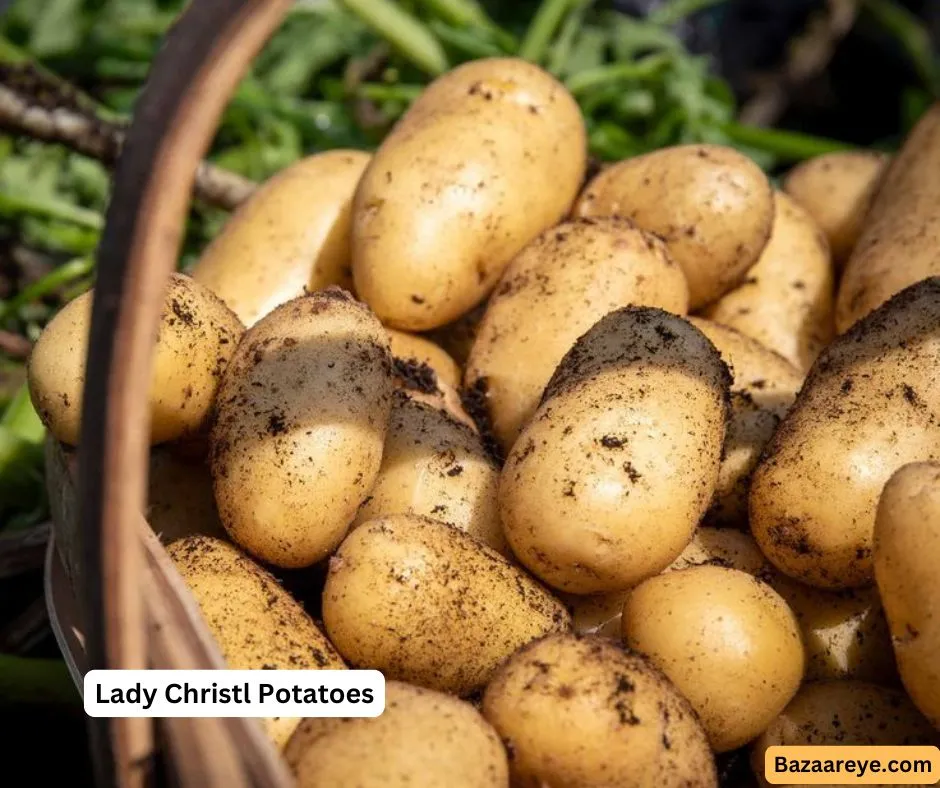 Lady Christl Potatoes in a basket