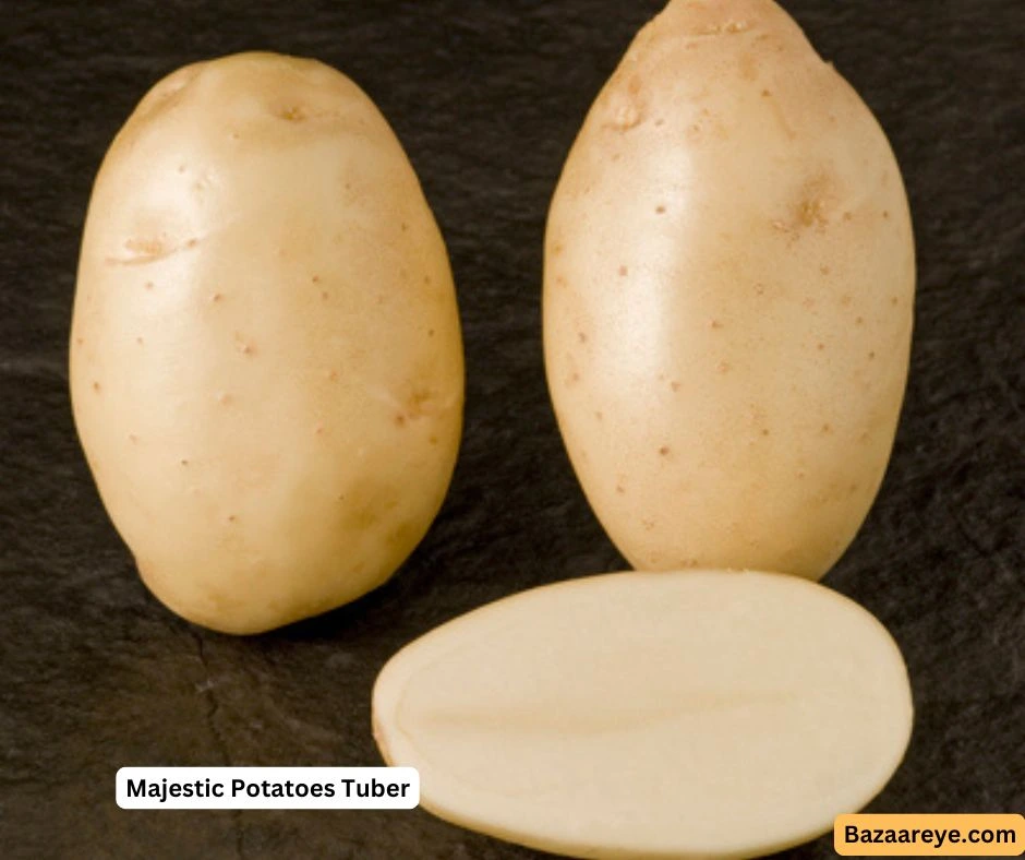 Majestic Seed Potatoes